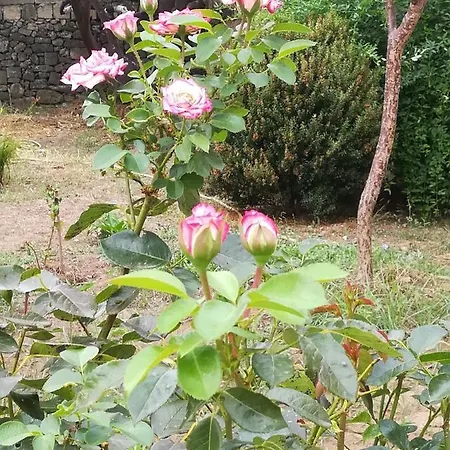 Al Vecchio Giardino Frühstückspension *
